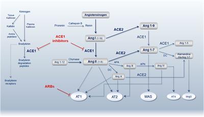 p53/NF-kB Balance in SARS-CoV-2 Infection: From OMICs, Genomics and Pharmacogenomics Insights to Tailored Therapeutic Perspectives (COVIDomics)